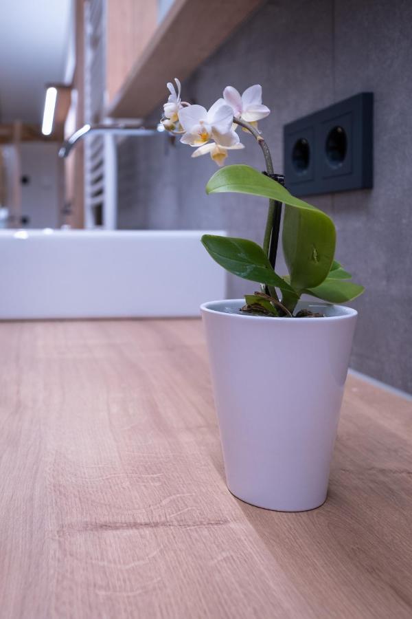 Apartment Haus Schoenwies Alpbach Bagian luar foto